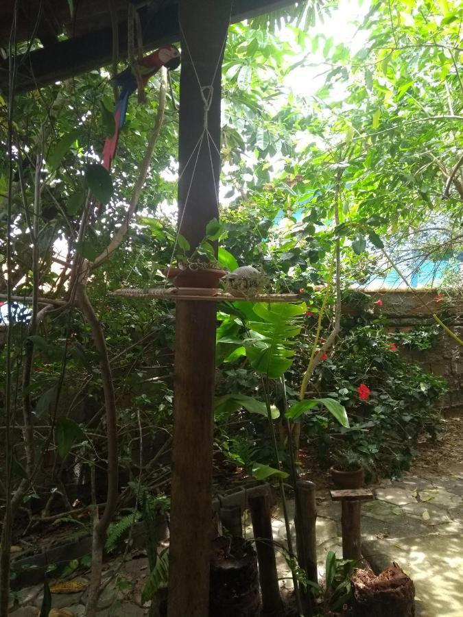 Pousada Recanto Devas Cabo Frio Exterior photo